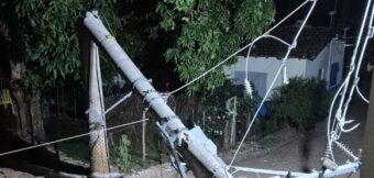 Queda de árvore causa paralisação do Piraí