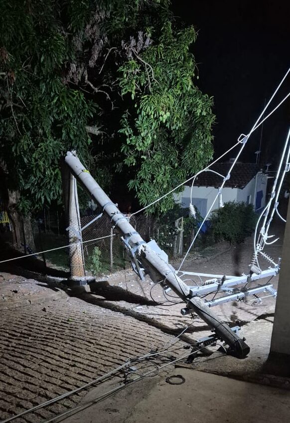 Queda de árvore causa paralização do Piraí